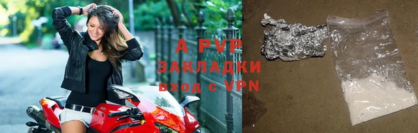 прущие крисы Корсаков
