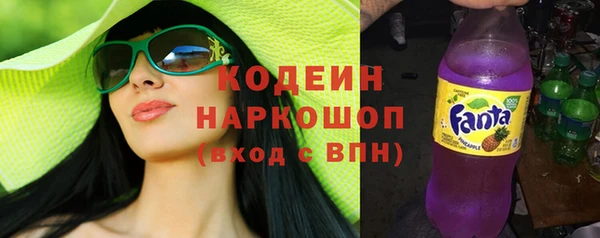 прущие крисы Корсаков