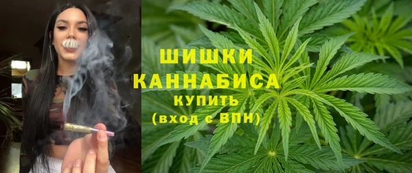 прущие крисы Корсаков